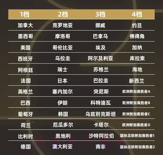 世界杯强队排名更新